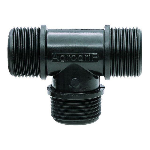 ΣΩΜΑ ΤΑΦ ΑΡΣΕΝΙΚΟ